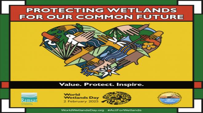 World wetlands day
