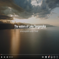 Latawama Project: Video