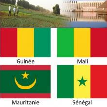 PROJET WEFE-SENEGAL